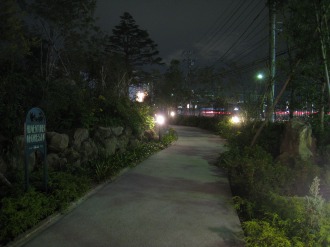 都市計画道路武蔵小杉駅南口線側の出入口