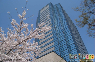 桜咲く武蔵小杉タワープレイス